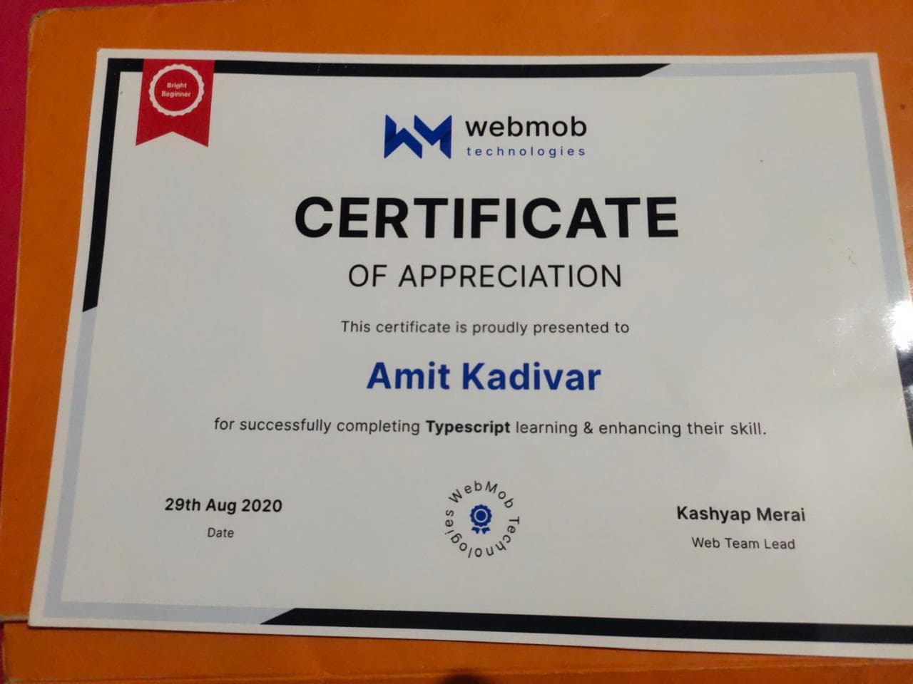 TypeScript certificate from WebMob Technologies